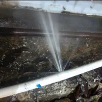 نشت یابی لوله بازکنی رفع نم نمیابی نشتیابی نقطه ای|خدمات پیشه و مهارت|محمدیه-قزوین, |دیوار