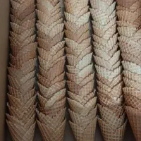 نون بستنی . نون قیفی بیسکوییتی