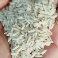 برنج صدری دانه درشت