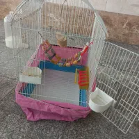 قفس پرنده با لوازم