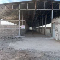 فروش مرغداری گوشتی|فروش دفتر صنعتی، کشاورزی، تجاری|گرمسار, |دیوار