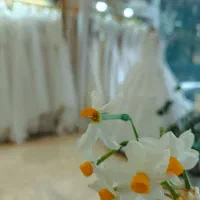 فروش فوق العاده لباس عروس