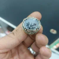 انگشتر شجر قائنات طبیعی