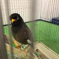 ۱مینا صحبتی و۱سهره