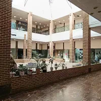 مغازه در متراژ ۱۳ تا ۲۵ متر و ۱۲۰ متری برای کافه|اجارهٔ مغازه و غرفه|بهشهر, |دیوار