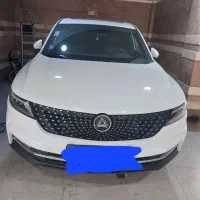 دیگنیتی پرایم سفید داخل مشگی