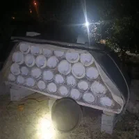 کلونی زنبور عسل سبد