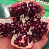 انار سیاه داراب بشرط