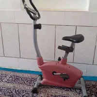 دوچرخه ثابت