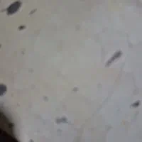 گمشده کیف کارتی حرم به حرم