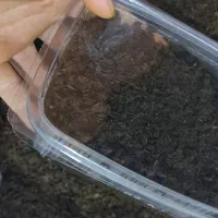 قرمه سبزی سرخ شده خشک