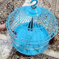 قفس سهره خاکی