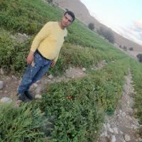 چاه گشاورزی|فروش زمین و ملک کلنگی|نصر آباد, |دیوار