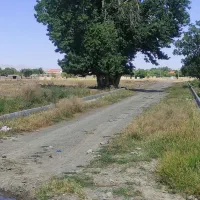 زمین و ملک