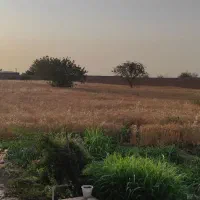 فروش زمین کارگاهی در بادرود