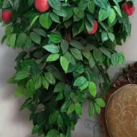 درخت هلو مصنوعی