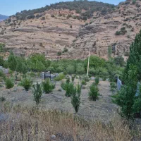 فروش باغ ثمری روستای قلات