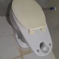 توالت فرنگی