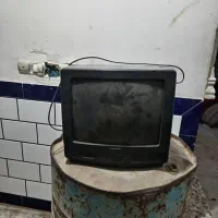 تلوزیون