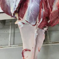 گوشت گوساله گرم درجه یک