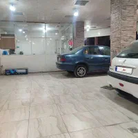 سمند ال ایکس دوگانه فابریک