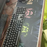 کیس و مانیتور نو کامل|رایانه رومیزی|گرگان, |دیوار