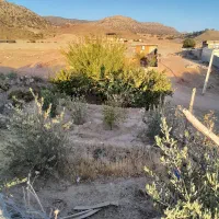 فروش خانه|فروش خانه و ویلا|کوهدشت, |دیوار