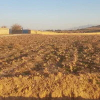 فروش زمین کشاورزی به متراژ ۱۸۷۴۲ متر مربع|فروش زمین و ملک کلنگی|شیراز, شهرک مهدی‌آباد|دیوار