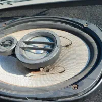 باند ۷۱۸ اصلی