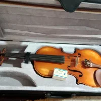 ویولن|ویولن|لامرد, |دیوار