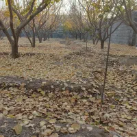 باغ 400متر با مجوز سند