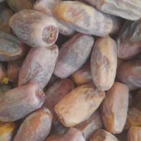 فروش قصب زیر قیمت بازار|عمده‌فروشی|ریز, |دیوار