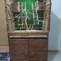 زیبا ترین قفس با بهترین متریال