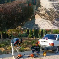 فصل بیل زنی فرم دهی گیاهان زینتی|خدمات باغبانی و درختکاری|کرج, گلشهر|دیوار