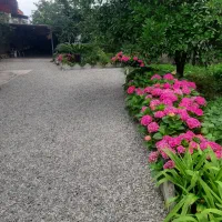 اجاره سوئیت یک خوابه