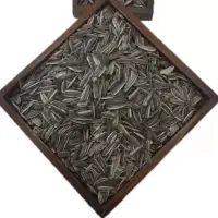 حراج تخم آفتابگردون