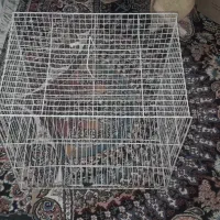 ی عددقفس پرنده ۳۰۰