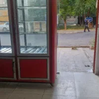 کارگر خانم