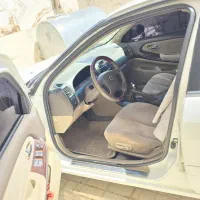 ماکسیما دنده سفید مدل 87بدون رنگ