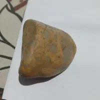 شهاب ها|کلکسیون اشیاء عتیقه|تاکستان, |دیوار