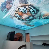 سقف و دیوار پوش کاذب سقف و دیوار پوش کشسان