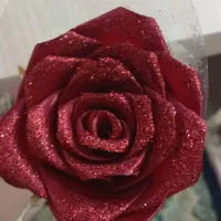 گل ربانی|گل مصنوعی|سهند, |دیوار