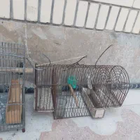 قفس پرنده|لوازم جانبی حیوانات|شیراز, تندگویان|دیوار