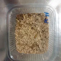 بستههای میلورم زنده|لوازم جانبی حیوانات|اهواز, دانشگاه چمران|دیوار