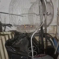 قفس