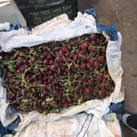 پخش انواع میوه‌وتره‌بار برای مراسمات و رستوران‌ها|خوردنی و آشامیدنی|تهران, شهرک شریعتی|دیوار