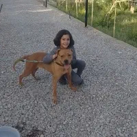 سگ پیدا شده