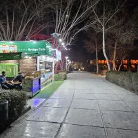 استخدام نیروی جوان