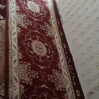 کناره فرش ۲۸ متری|فرش|دینور, |دیوار