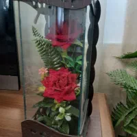باکس گلدان گل رز مناسب هدیه